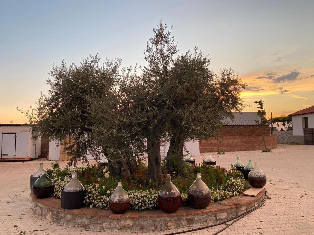 Mrizi I Zanave Agroturizem Hotel Lezhë Esterno foto