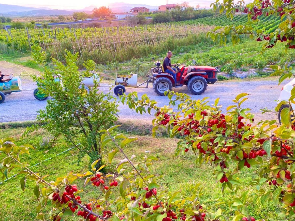 Mrizi I Zanave Agroturizem Hotel Lezhë Esterno foto