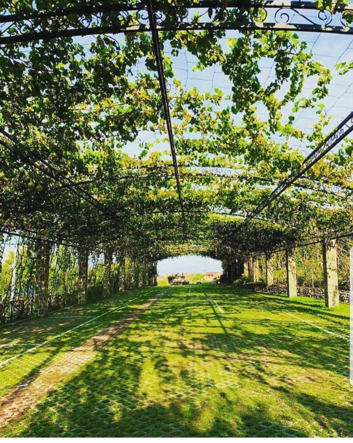 Mrizi I Zanave Agroturizem Hotel Lezhë Esterno foto